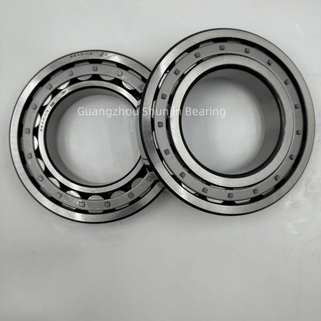 TMY Excavator Swing Gearbox Bearing 06043-00215